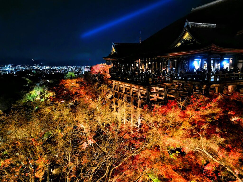 Night view of Kiyomizu-dera Temple with stunning red maple leaves lit up in autumn.